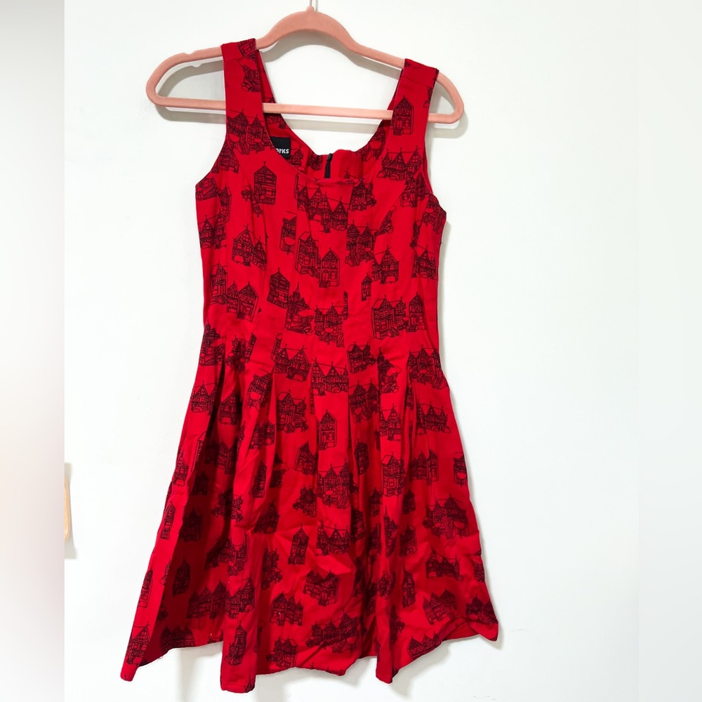 RARE! Nooworks - fit and flare “painted ladies” dress